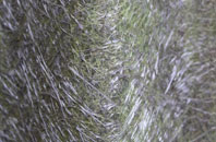 Limpley Stoke fibreglass roof work